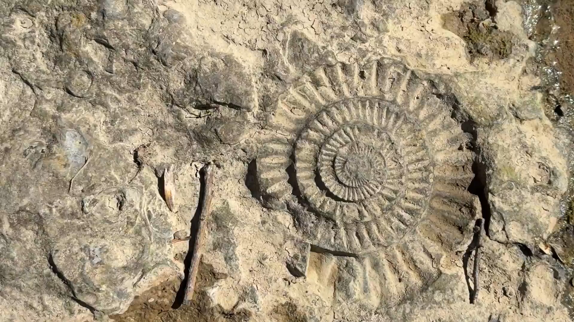 Pflegeportal der App Geopark Schwäbische Alb